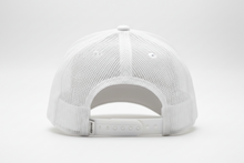 Load image into Gallery viewer, Hat - Light Gray Ryan Timms Lightning snapback hat
